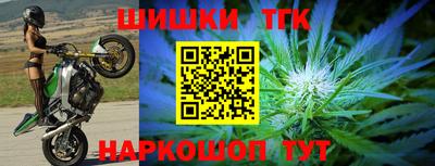 гидра Татарск