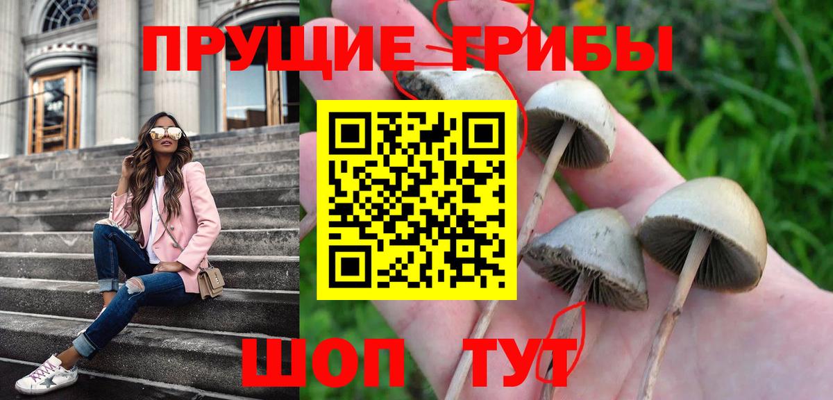 Псилоцибиновые грибы GOLDEN TEACHER  Вход с VPN  Ноябрьск 